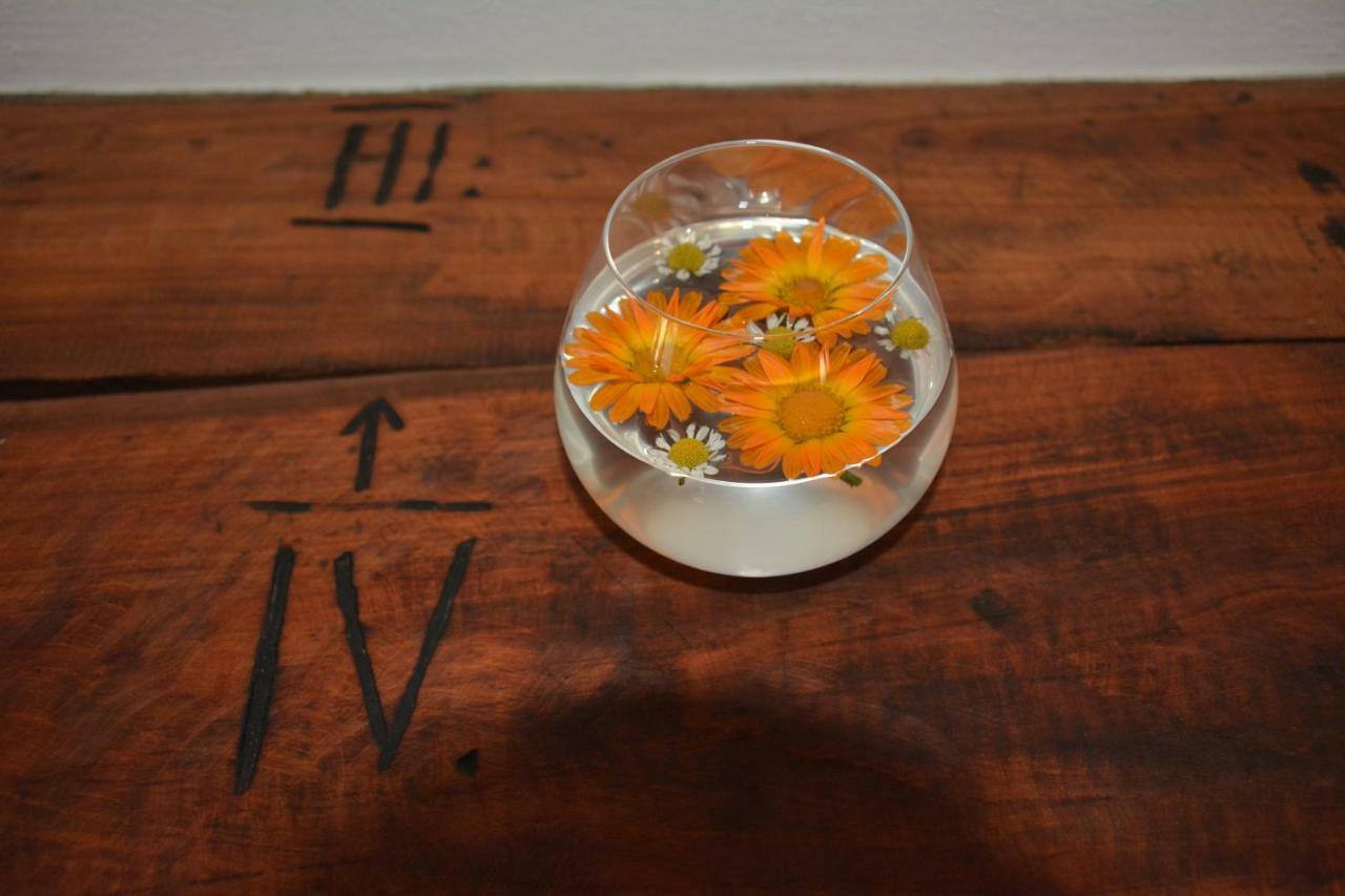 Farmhouse Cvetje 托尔明 外观 照片